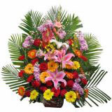 ʳʻٵ