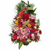 ʳʻٵ