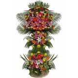 ʳʻٵ